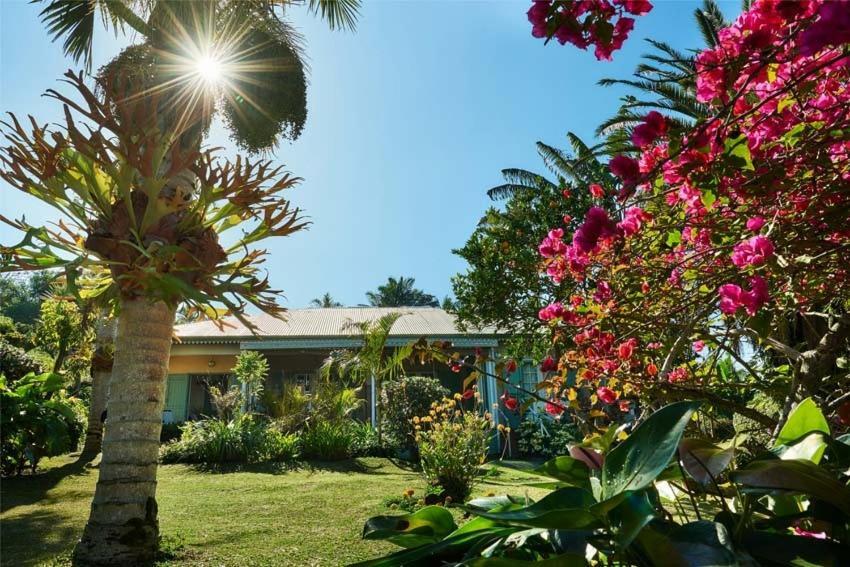 Chez Mamie Bed & Breakfast Les Avirons Dış mekan fotoğraf
